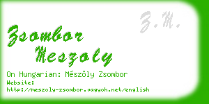 zsombor meszoly business card